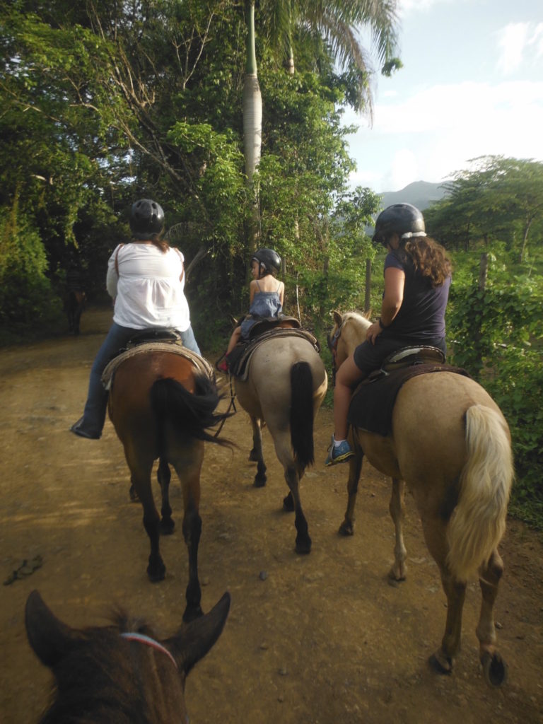 Things to do in Puerto Rico - carabali horse