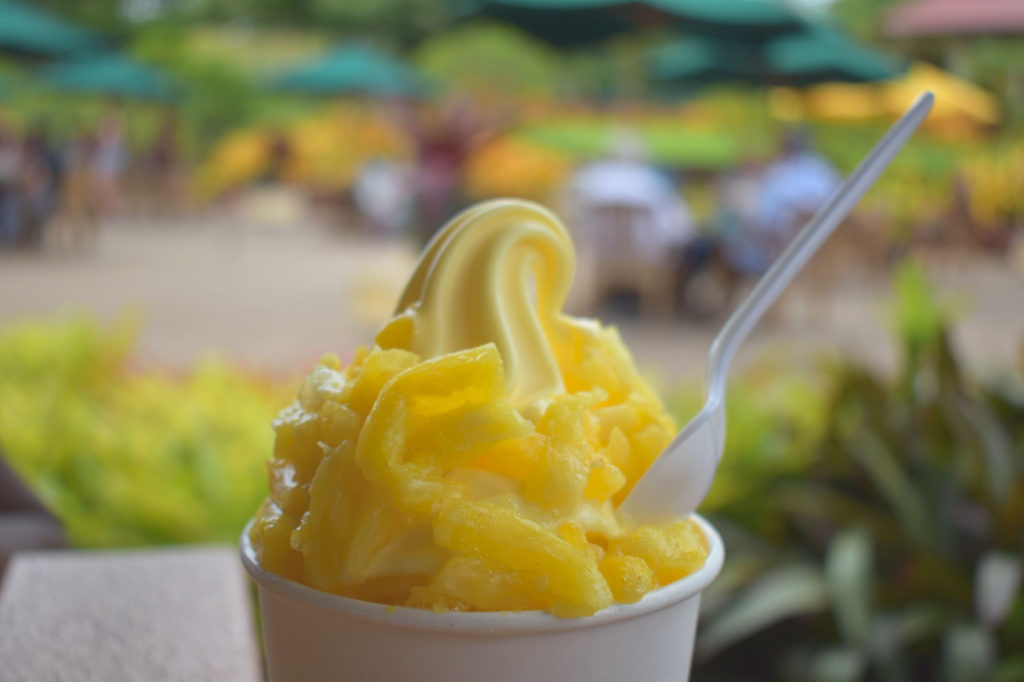 dole pineapple plantation