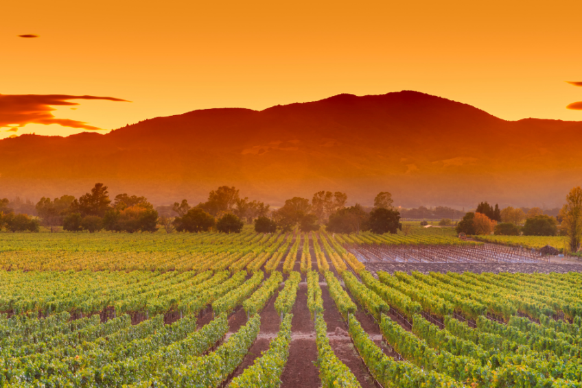 Napa Valley luxury hotels